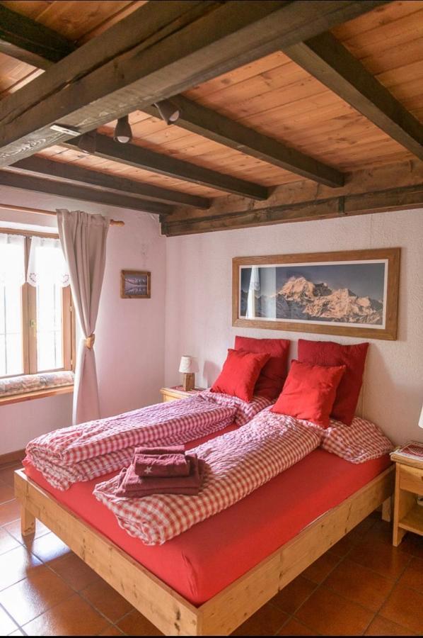 Apartament Coeur De Montagne Gignod Zewnętrze zdjęcie